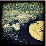 Feed your soul - Lo-fi lover Vol.2