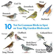 Face2Face with Tim & Linda Forrester - 30th January 2026