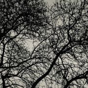 Late Night with Yorgos Dousos