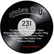 Noise r'us # 231 (Janvier 2025)