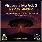 Afrobeats Mix Vol. 2