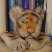 TRANSMITTER L 08.12.2024 [674FM]