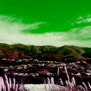 Stinky Grooves 08.07.25 - Stealth Elegance