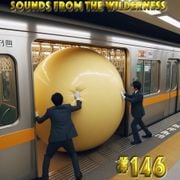 #146 Sounds From The Wilderness