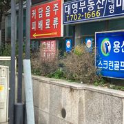 2023 Memories （2023年回忆）