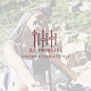 Spring 2017 Afrobeats Mix @DJ_PMontana