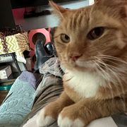 Heathen Disco (Show 386, 30 November 2024)