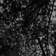 Cult Posture / 28th January 2026