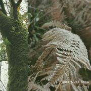 Alice & Joe Show: December '23