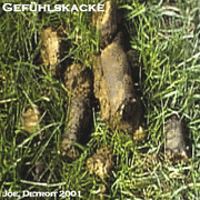 Gefühlskacke 2001