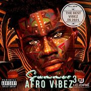 summer-AFRO VIBEZ 3 (2001 flashback)