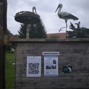 Wege zum Anderen 2021 #7 - Schloß und Ökopark Niederspree