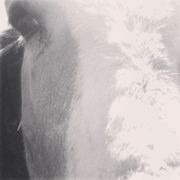 Núvol de fum 491 | l'alba de tot