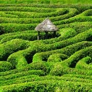 Nothing Good Is Easy 11.08.2025