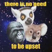 The Rustling (Fall 2012 Teaser)