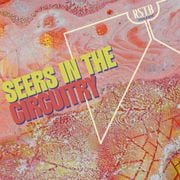 Seers In The Circuitry