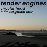 Gulls Window Circus #694 part 1