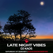 Dj Kaos - Late Night Vibes #205 @ Radio Deep 27.04.2024