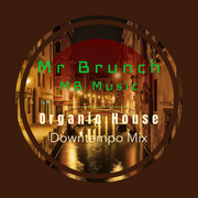 Organic House/Downtempo Mix Vol 28