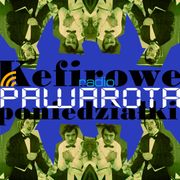 Kefirowe poniedziałki - Wczucior #106/1541 PAWAROTA Radio - 17.02.2025