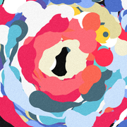 Live at Wander, SHeLTeR 20191024 -Sublimation-