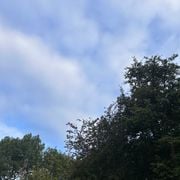 neo soul beat selections early 2026