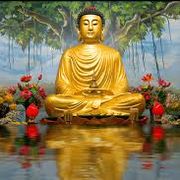 Buddha bar London January 2016