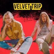 In Focus - Velvet Trip
