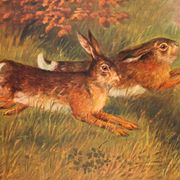 100 Goat Warehouse Subscription Mix March 2025