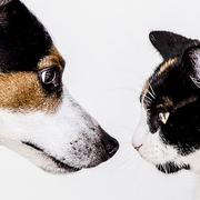 This Week with Penny  - 30th August 2024