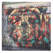 Chaz Bizar - Seattle Session