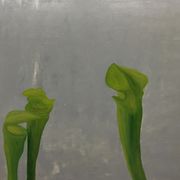 midnight drones_weg mit dem smoothie narrativ_2017/10