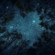 Mélomaniac #10 / Carpe Noctem
