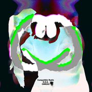 CMR202 - Guest Mix - H.O.S. - NFT