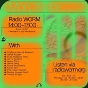 Sonic Acts presents: Feedback Loops (11.03.24)