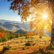 Tomas TMX - Beatshare Selection 303