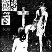 Noel's Straight Hedge May 2024