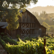 Bloom Ranch Offers the Best Venue for Agricultural Farm Ranch Film and Photo Shoots Near Los Angeles