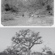 Genocide Reparations in German Colonial Namibia