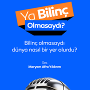 Ya Bilinç Olmasaydı?