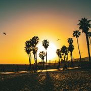 Summer Madness: Smooth Beats & Soul Grooves