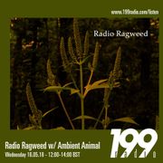 Radio Ragweed w/ Ambient Animal - May 16th, 2018