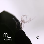 03-22-2024 • Set by Christian Solorzano