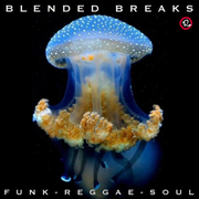 Funk & Bossa Breaks #95 ft. Tim Otis
