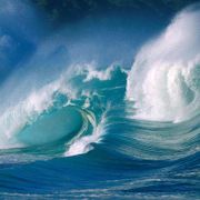 Let's DANCE and be fully alive