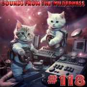 #118 Sounds From The Wilderness 10 Dec 2023