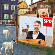 Warum bist du in die Politik eingestiegen?