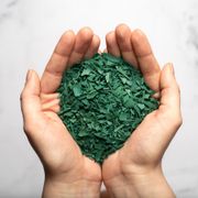 L'ours & la crotte / Stéphane, aquaculteur et producteur de spiruline