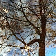 #541 - Everything Means Nothing To Me