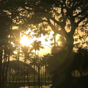 Good Morning Hawaii